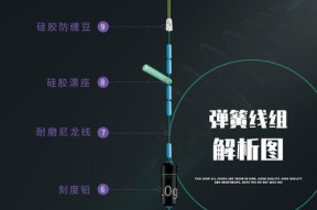如何掌握弹簧钓鱼的技巧？有哪些常见问题需要避免？