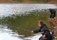河里钓鱼生存技巧有哪些？如何应对常见问题？