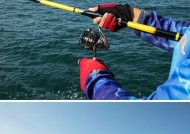 浮游矶钓大鲫鱼技巧有哪些？如何提高钓获率？