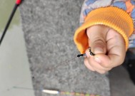 如何正确装钩提高钓鱼效率？装钩技巧有哪些常见问题？