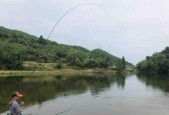 黑坑盘钓鱼技巧有哪些？老板如何提高钓鱼成功率？