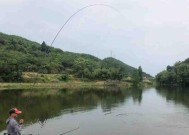 黑坑盘钓鱼技巧有哪些？老板如何提高钓鱼成功率？