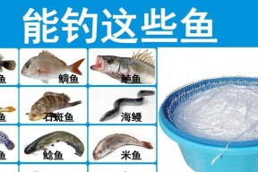 慈溪三月海钓技巧有哪些？如何提高钓鱼成功率？