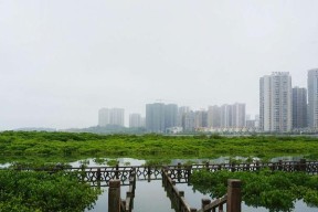 防城港西湾沙滩钓鱼技巧（探寻防城港西湾沙滩钓鱼的诀窍）