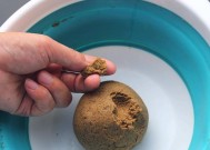 垂钓鱼饵怎么搭配效果最佳？掌握这些技巧轻松钓大鱼！