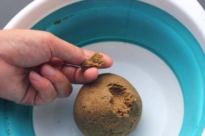 垂钓鱼饵怎么搭配效果最佳？掌握这些技巧轻松钓大鱼！