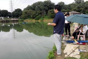 钓鱼思维（掌握钓鱼思维，远离思维陷阱）