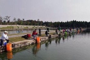 钓鱼选位技巧和最佳时间是什么？如何根据天气变化调整？