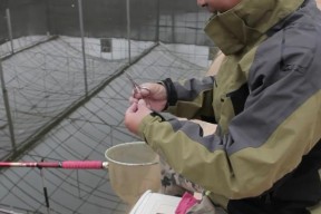 冬季钓鱼的技巧和方法（寒冬中的渔获大丰收）