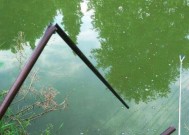 如何在俄罗斯钓到野生大鱼？有哪些技巧和常见问题解答？
