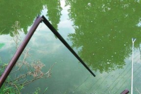 如何在俄罗斯钓到野生大鱼？有哪些技巧和常见问题解答？