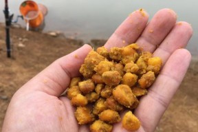 蚯蚓饵料的使用技巧（钓鱼高手分享的有效蚯蚓用法）