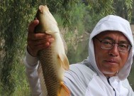饵盒钓鱼技巧教程？如何选择合适的饵盒？