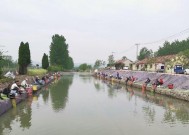 肥水水域钓鱼技巧有哪些？如何提高钓鱼成功率？