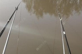 野钓蓝鲫打窝技巧教程（独家秘笈）