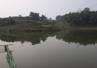 疫情期间鱼塘钓鱼技巧大揭秘（提升钓鱼技巧）