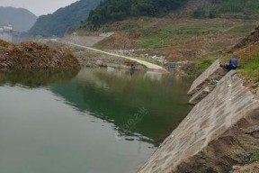 东北夏季水库钓鱼技巧（夏季水库钓鱼攻略，享受丰收乐趣）