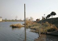 大北风钓鱼技巧有哪些？如何应对恶劣天气提高钓鱼效率？