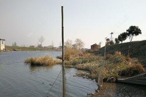 大北风钓鱼技巧有哪些？如何应对恶劣天气提高钓鱼效率？