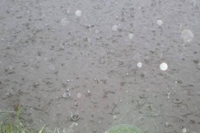 春天中午下雨钓鱼技巧是什么？如何应对中午下雨时的钓鱼挑战？