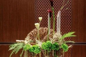 芙蓉江钓鱼技巧与方法？如何提高钓鱼成功率？