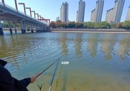 非洲小孩钓鱼技巧有哪些？如何提高钓鱼效率？