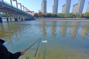 非洲小孩钓鱼技巧有哪些？如何提高钓鱼效率？