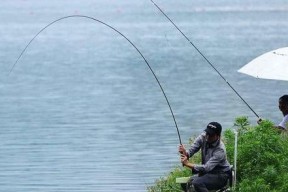 江南冬季钓鱼的技巧和方法（江南冬季钓鱼）