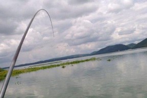 海上钓鱼技巧大揭秘（提高成功率）