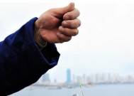 不调漂钓鱼有哪些方法和技巧？如何提高钓鱼成功率？