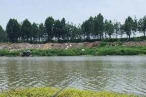 汾河水库野钓鲫鱼技巧有哪些？如何提高钓鲫鱼的成功率？