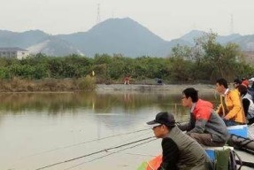 池塘钓鱼做窝技巧有哪些？如何有效提高钓鱼成功率？