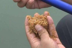 钓竿脱节了怎么办？掌握这些技巧轻松应对！