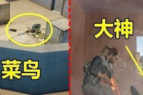 阴人钓鱼技巧大揭秘（掌握关键“藏”）