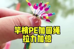 掌握钓鱼技巧竿稍绳的打结方法（简易易学、提高钓鱼成功率的技巧）