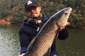 冬钓河流野钓鲤鱼技巧教程？如何提高冬季河流鲤鱼的钓获率？