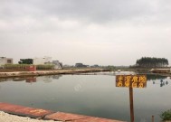 黑坑大炮坑钓鱼技巧有哪些？如何提高钓鱼成功率？
