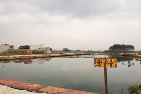 黑坑大炮坑钓鱼技巧有哪些？如何提高钓鱼成功率？