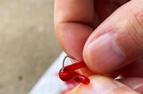 夏天钓鱼的六大技巧（让你轻松享受夏日钓鱼乐趣的关键技巧）