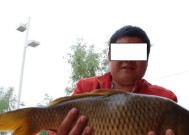 河流里钓鱼小技巧有哪些？如何提高钓鱼成功率？