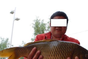 河流里钓鱼小技巧有哪些？如何提高钓鱼成功率？