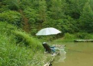 干旱地区钓鱼技巧和方法？如何在缺水环境中成功钓鱼？