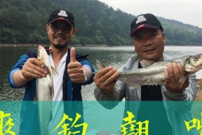 深秋玉米钓鱼技巧教学（掌握钓鱼的窍门）