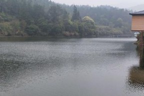 超清山体水库钓鱼技巧有哪些？如何提高钓鱼成功率？