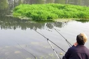 如何选择最佳钓鱼位置？掌握这些技巧轻松钓大鱼！