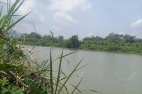 钓鱼钓点技巧排行榜？如何选择最佳钓鱼地点？