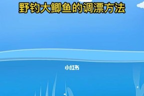 深水调漂技巧与方法分享（以野钓鲫鱼为例）