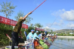 冬天黑坑钓鱼技巧（冬季黑坑钓鱼的专业指导）