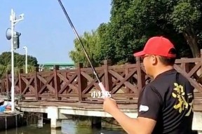 冬季钓鱼技巧（掌握蚯蚓钓法）
