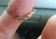 广西钓鱼钓草鱼技巧大揭秘（突破瓶颈，成功捕捞大草鱼）